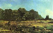 Alfred Sisley Avenue of Chestnut Trees near La Celle-Saint-Cloud oil painting